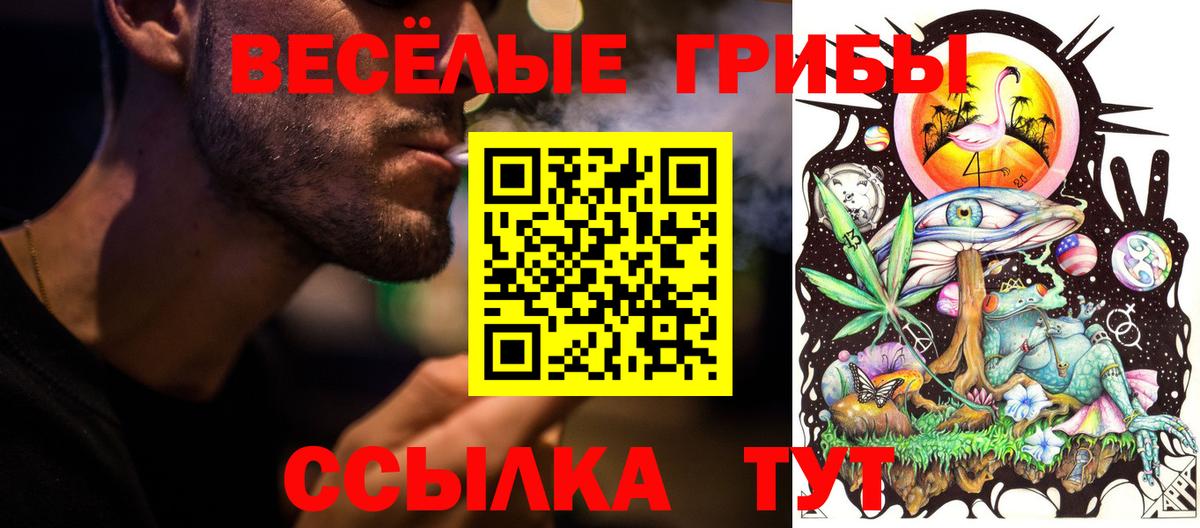 Галлюциногенные грибы Cubensis Новокуйбышевск