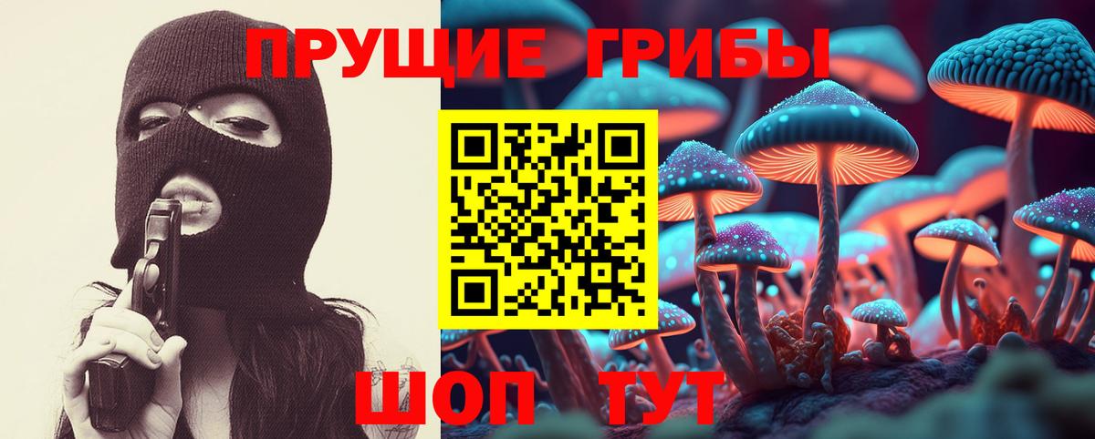 как найти   Вход с VPN  Новокуйбышевск  Псилоцибиновые грибы GOLDEN TEACHER 